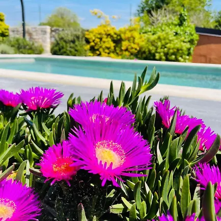 House Tesser With Pool Ferienhaus